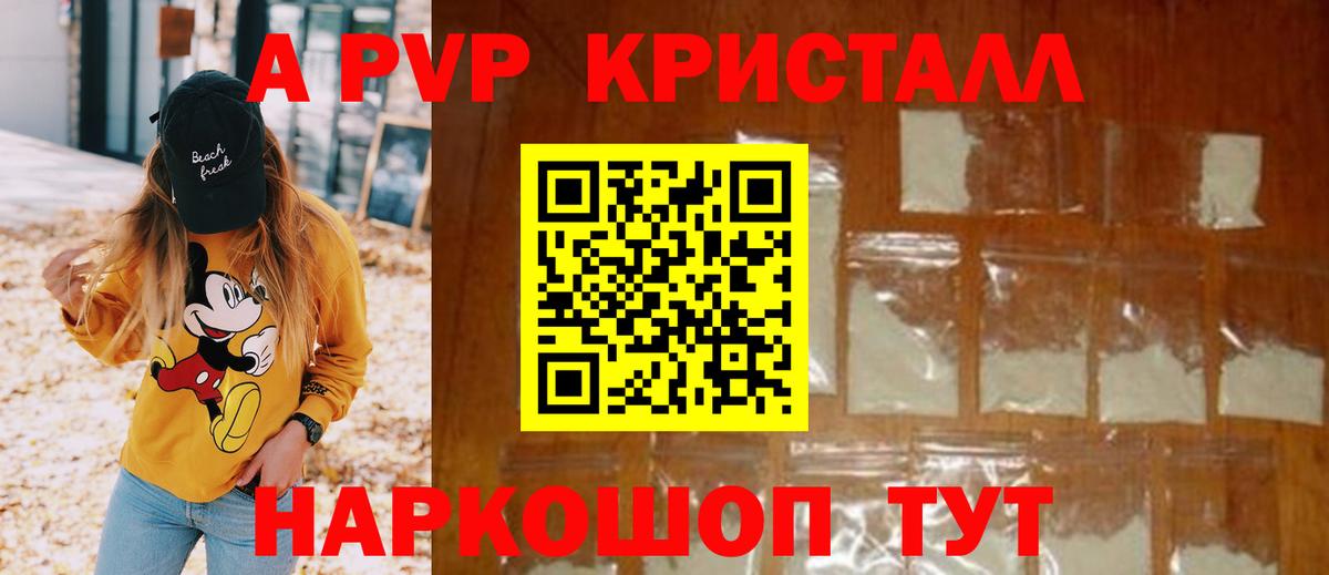 A PVP СК  Alfa_PVP СК КРИС  Рассказово  Альфа ПВП  Alfa_PVP крисы CK  Вход с VPN 