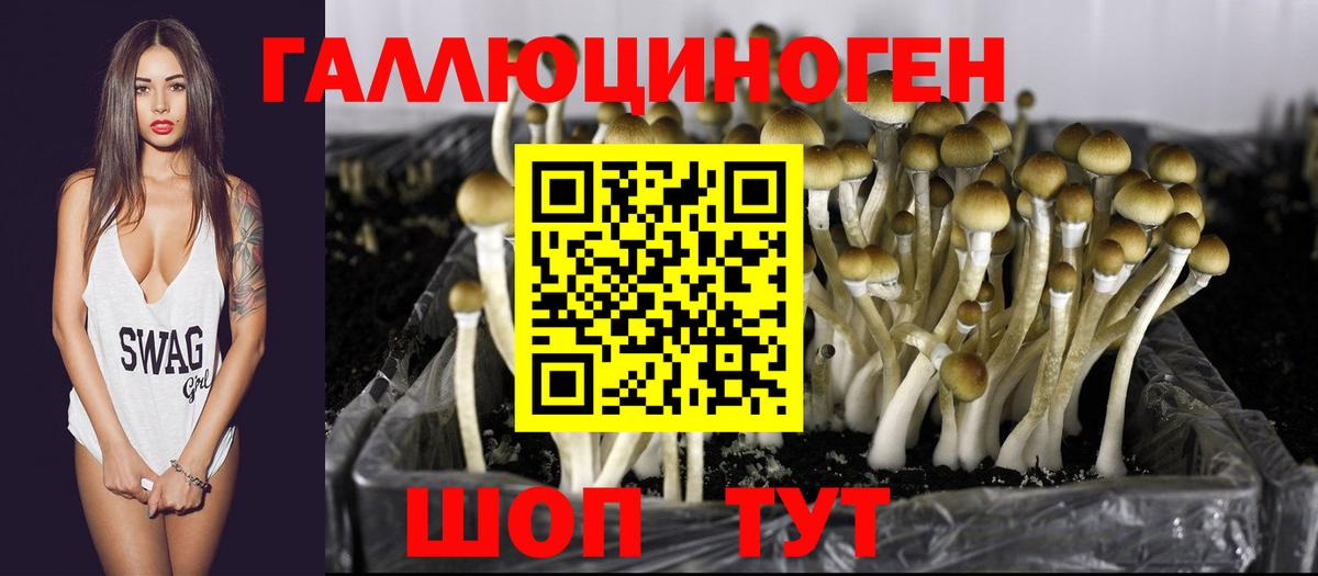Галлюциногенные грибы Psilocybine cubensis Рассказово